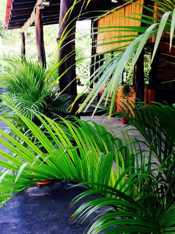 Tsunami Hostel ตามารินโด ภายนอก รูปภาพ