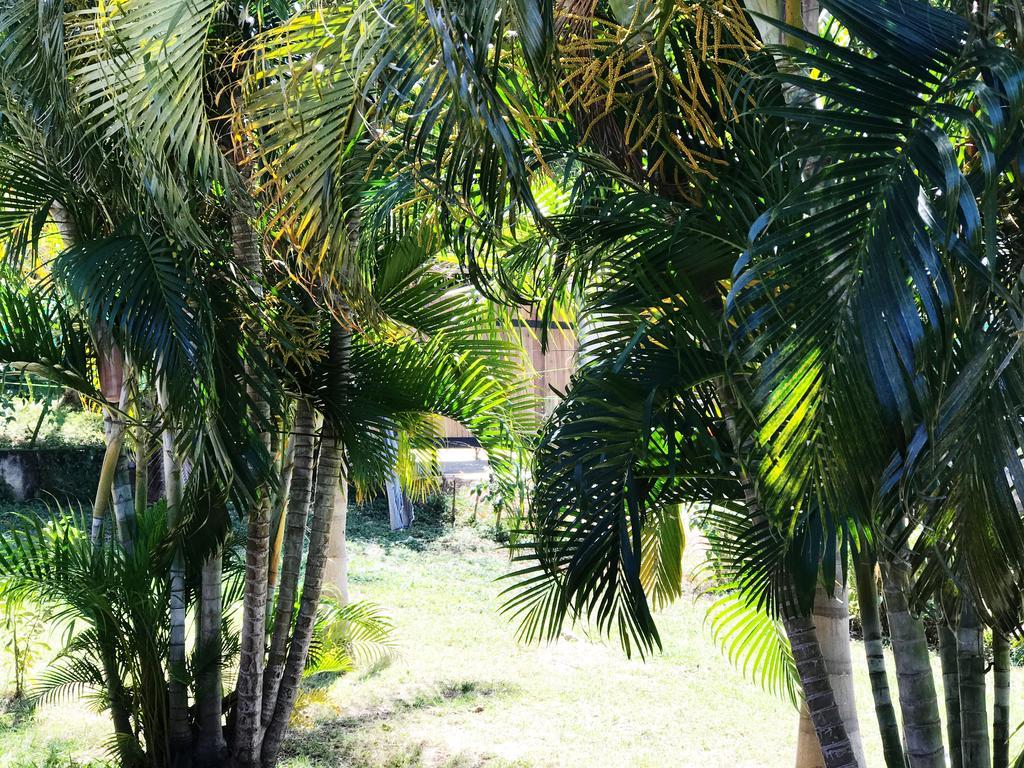 Tsunami Hostel ตามารินโด ภายนอก รูปภาพ